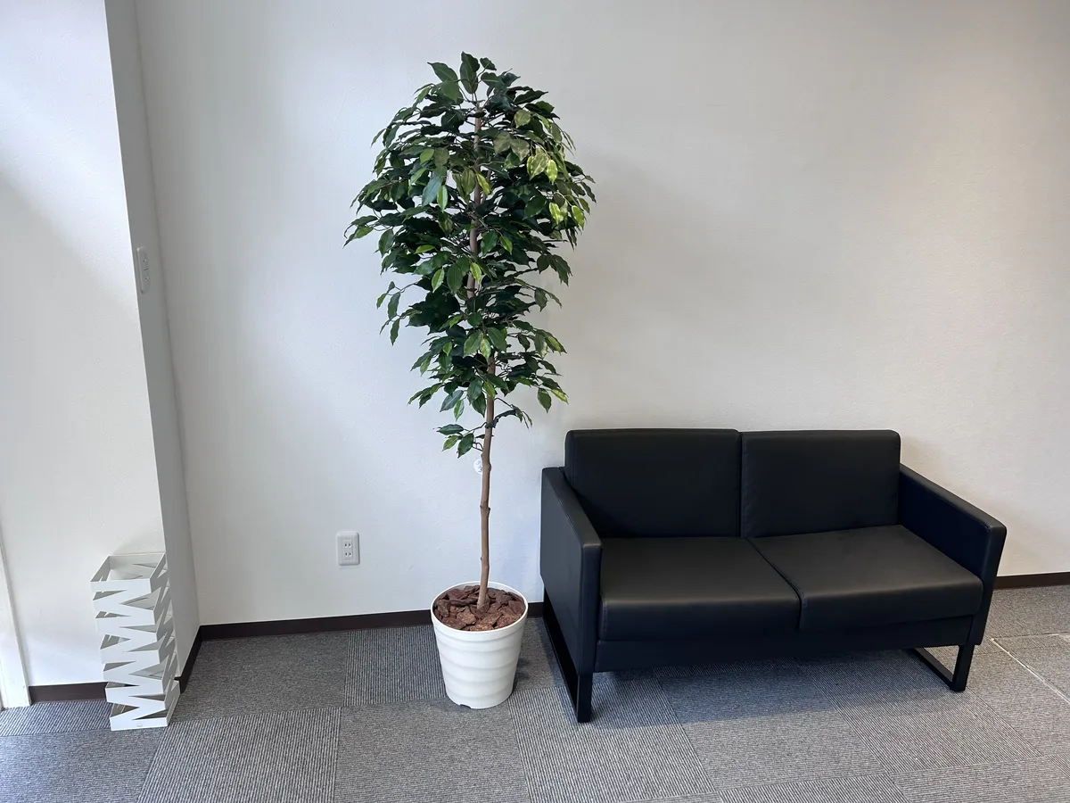 待合スペース。黒いソファと観葉植物